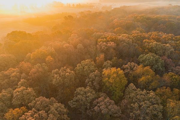 Aerial View of fall Color at sunrise-Marion County-Illinois